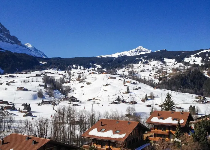 Beausite By Interhome Апартаменты Гриндельвальд